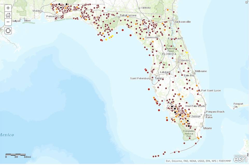 drilling florida